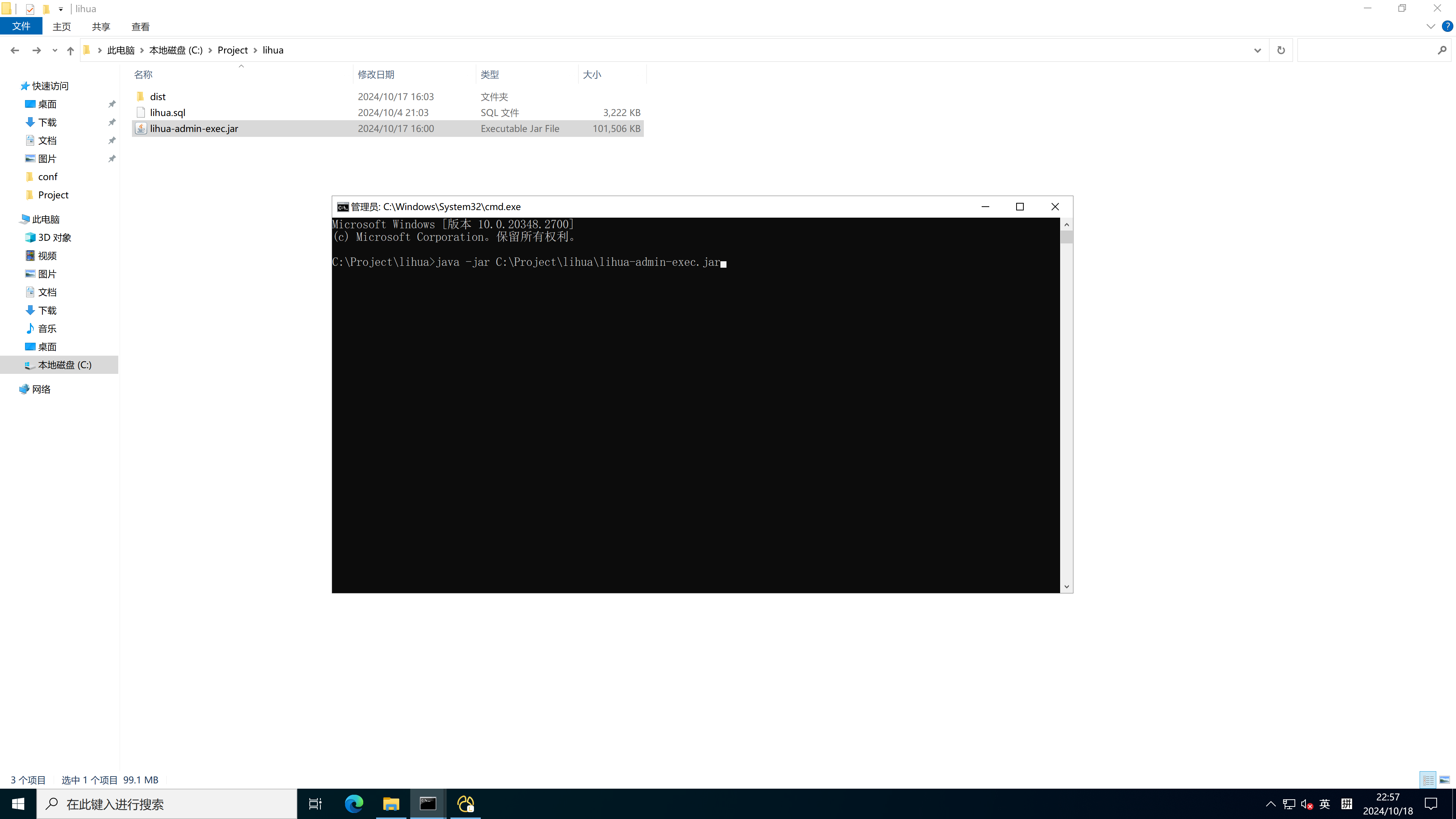 image-20241018225745825