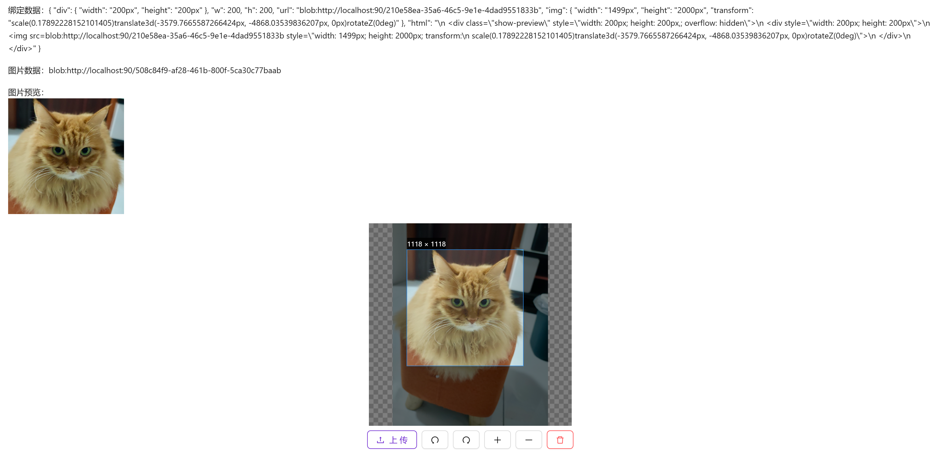 image-20241221150350778