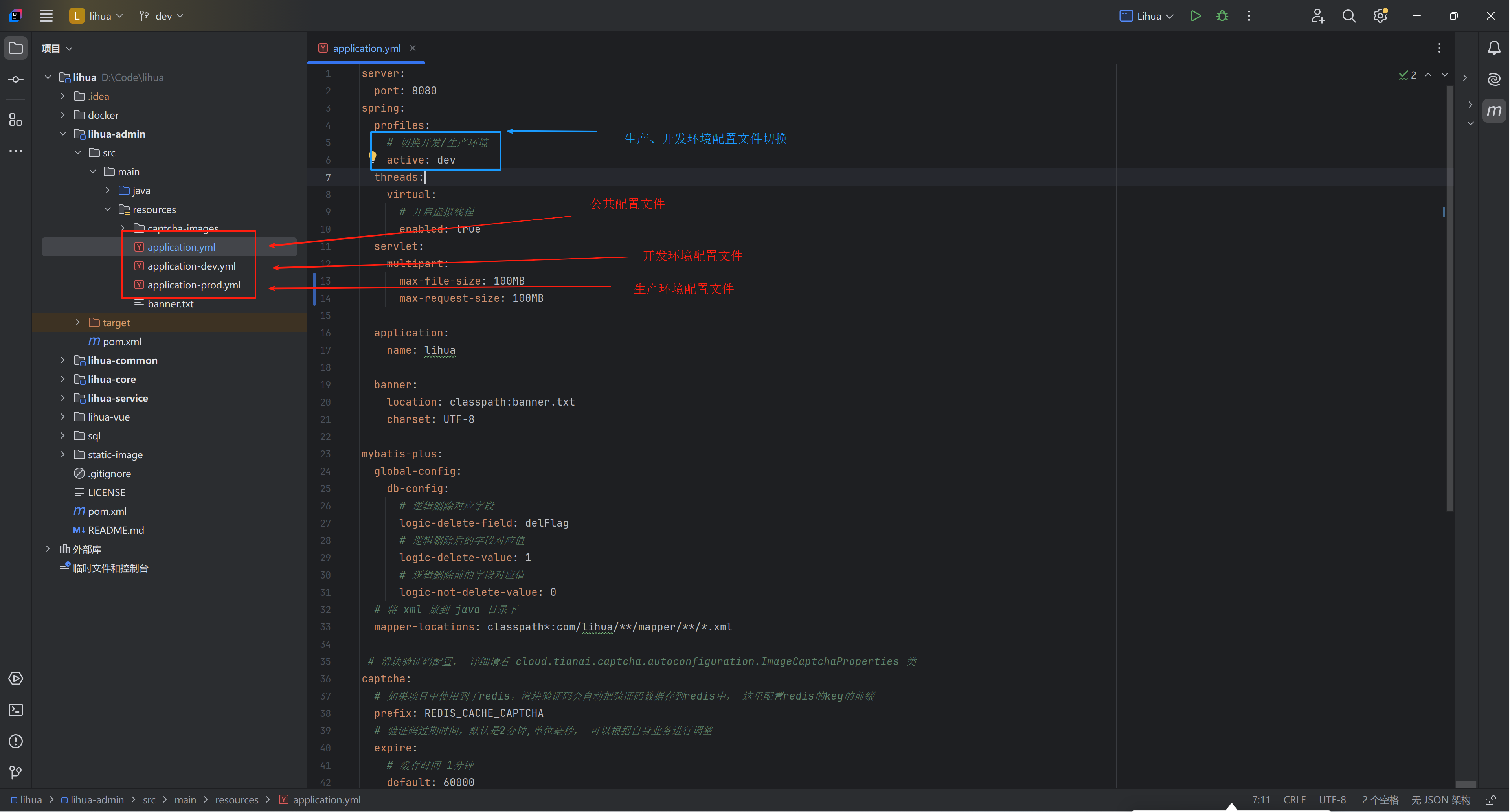 image-20250221062225153