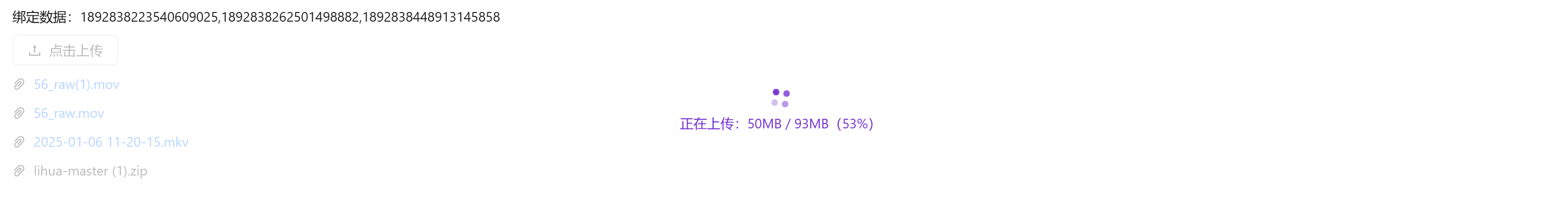 image-20250221152744912